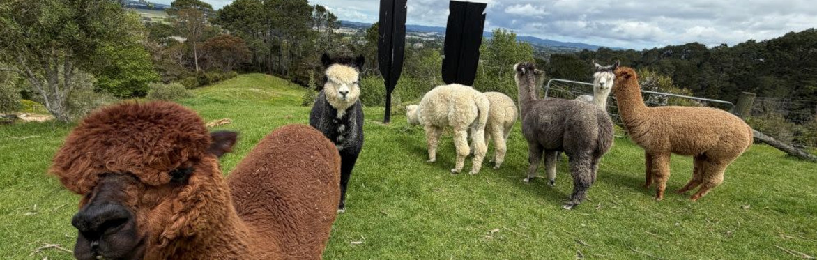 Lavender Hill Farm and Distillery Tour: Summer 2026/2027