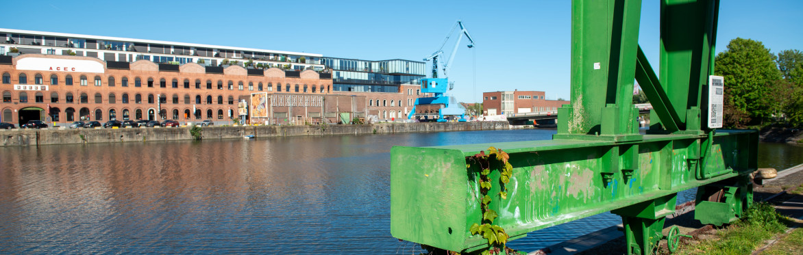 Oude Dokken en havenkranen