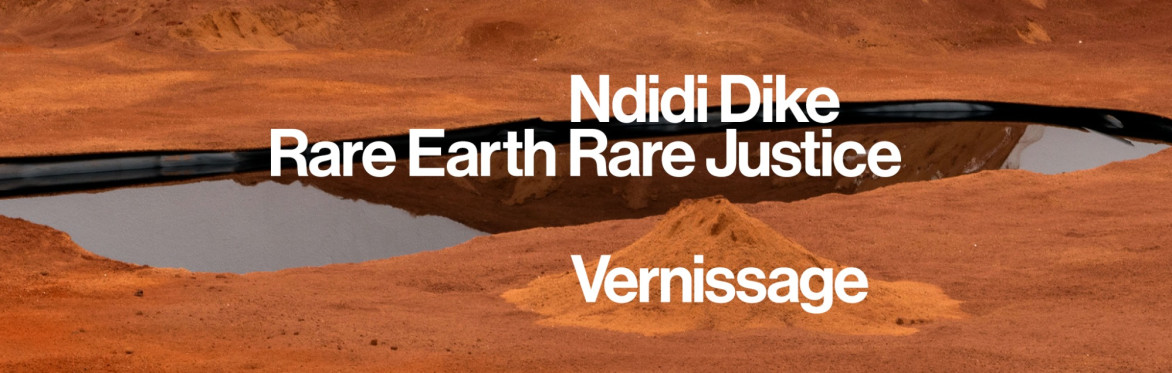Vernissage: Ndidi Dike – Rare Earth Rare Justice