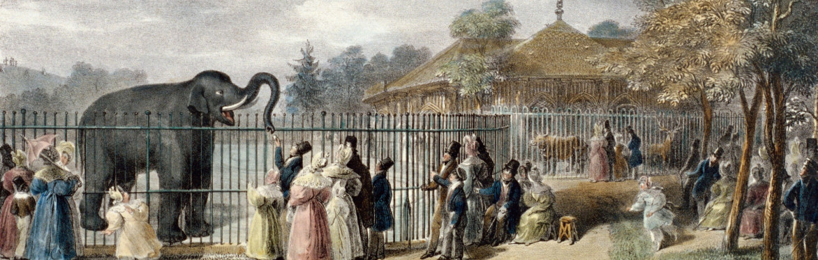 The Secret History of London Zoo: an Immersive Historical Tour