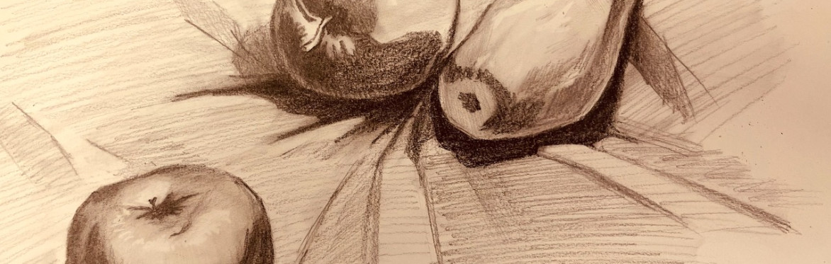 Observational Drawing for Beginners