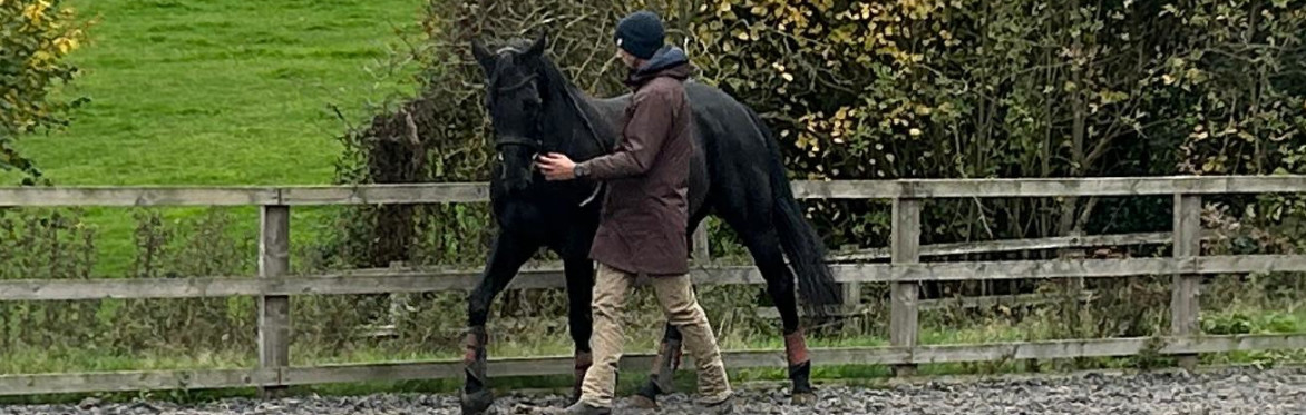 Classical Dressage Clinic with Mike Aylmore @ Bewdley, Worcs