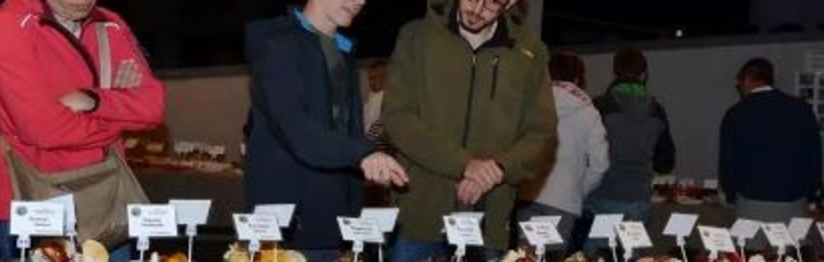 Mostra Micologica - Esposizione di funghi