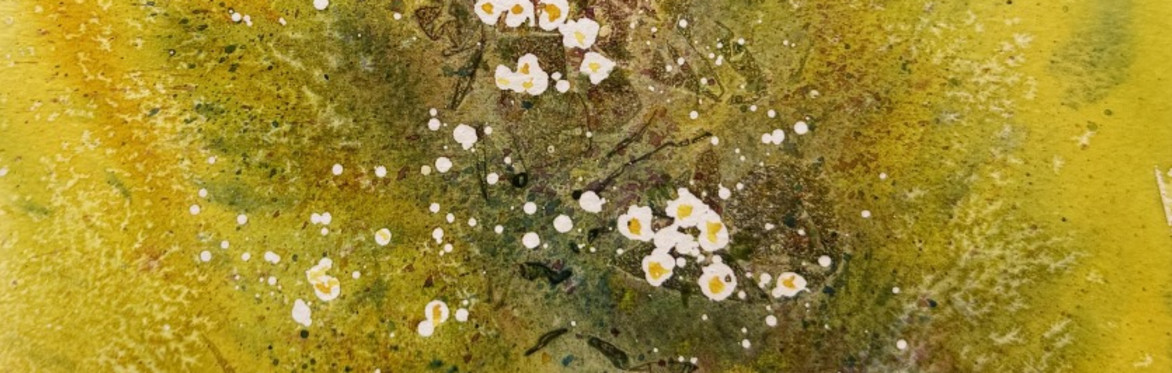 Wild Primroses Watercolour Workshop at Breezy Knees, Wednesday 14th April 2027