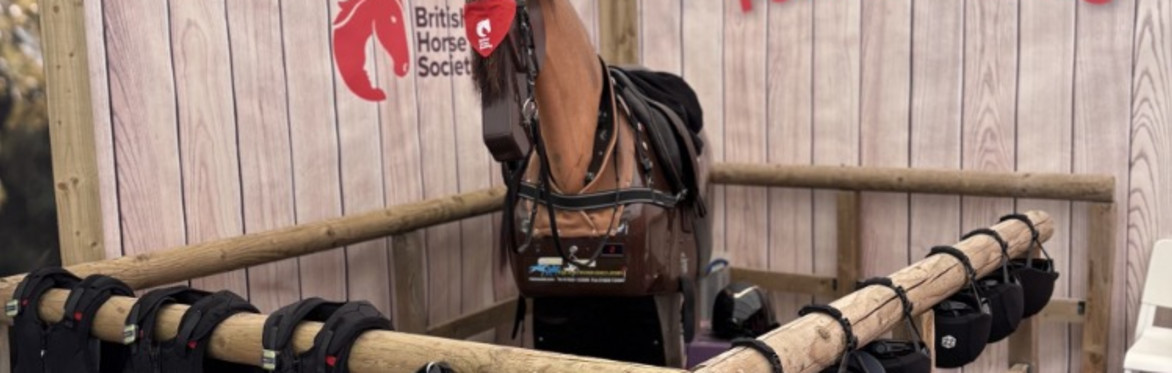 Mechanical Horse Open Day