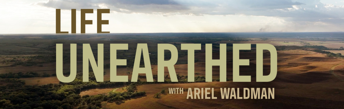 Prairies Unearthed // SF screening of "LIFE UNEARTHED with Ariel Waldman"