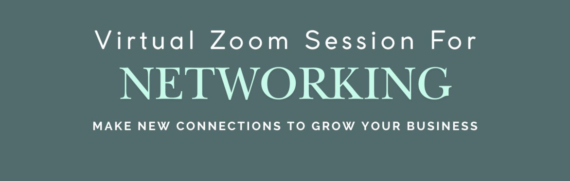 Virtual Networking Session