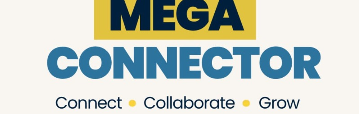 CAIC Mega Connector