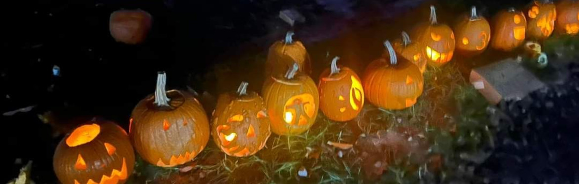 Jack-O-Lanterns in a row