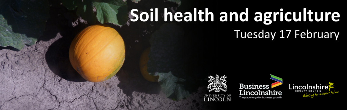 Picture of a pumpkin on the ground surrounded by leaves, with the following logos: Lincolnshire County Council, Business Lincolnshire, and University of Lincoln