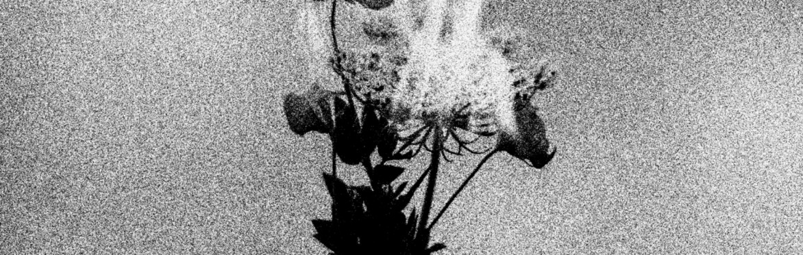 Scotch Funeral, Eitha Da & 1987tilpresent Live at Revibed Records, Wrexham.