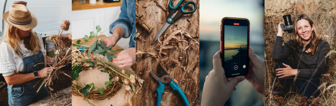 Forage and Photography