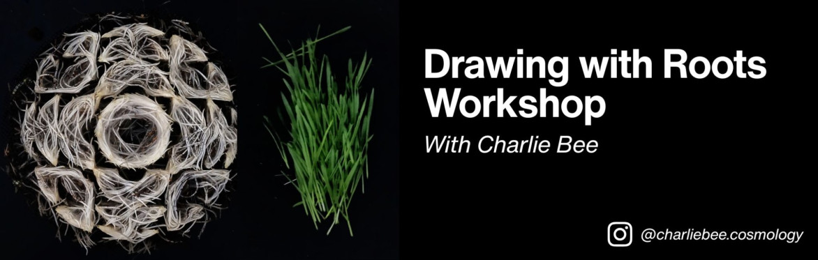 Drawing With Roots