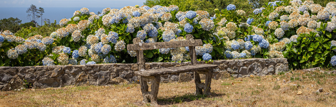 INTERWOVEN SINTRA