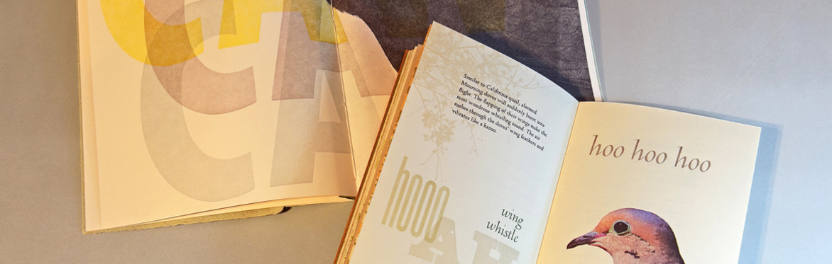 Too Much Makeready, 40 Years in Multiples with Rebecca Chamlee (in-person event)