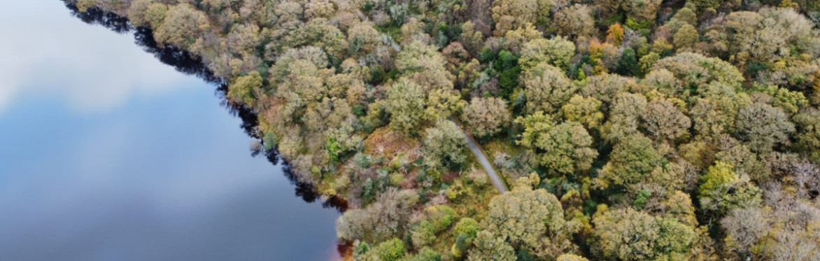 Wild Woodland Hike & Picnic with The Donegal Chef & Glenveagh Team