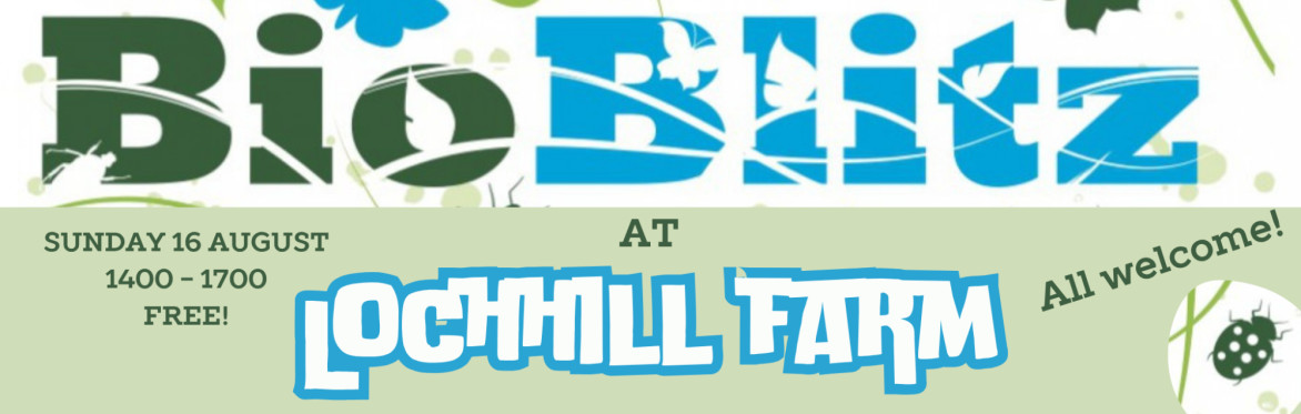 Lochhill BioBlitz!