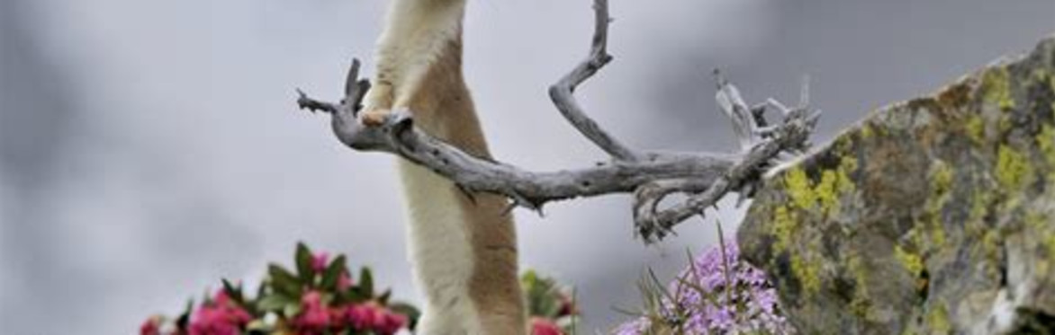 Natura da vivere 2026