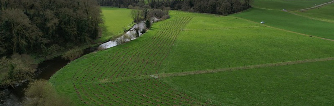Waters of LIFE Tree Planting Farm Walk in Cork