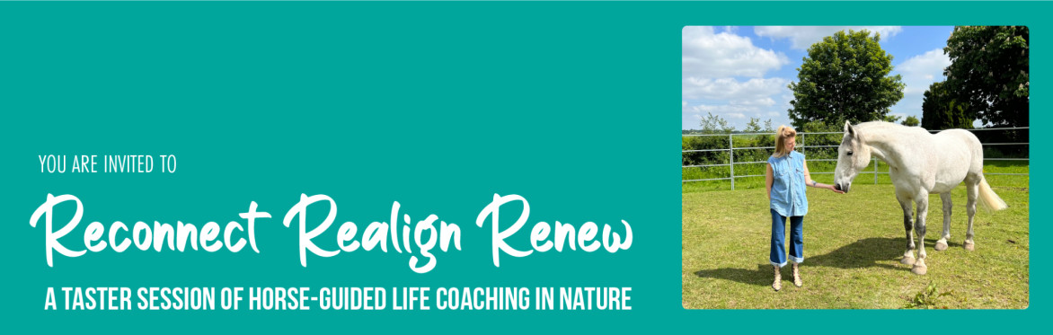 Reconnect, Realign, Renew - A Taster Session of Horse-Guided Life Coaching Nature. Picture shows a woman on the ground, connecting with a horse in an enclosed paddock.  They look relaxed and at ease.