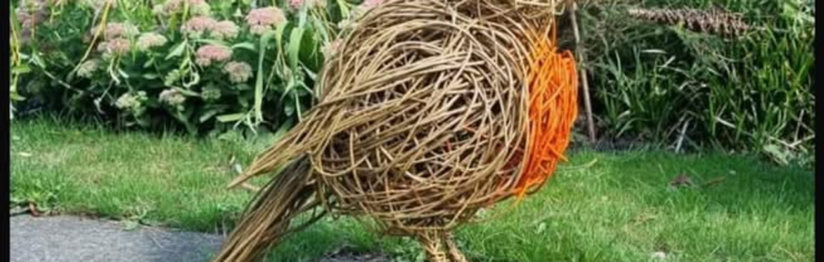 Willow Weaving - Robin