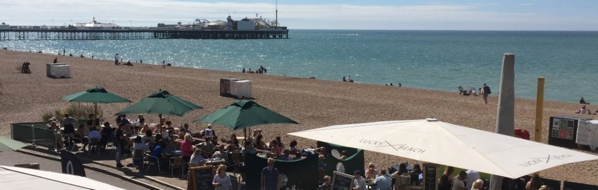 Brighton B Local's Summer Evening Picnic