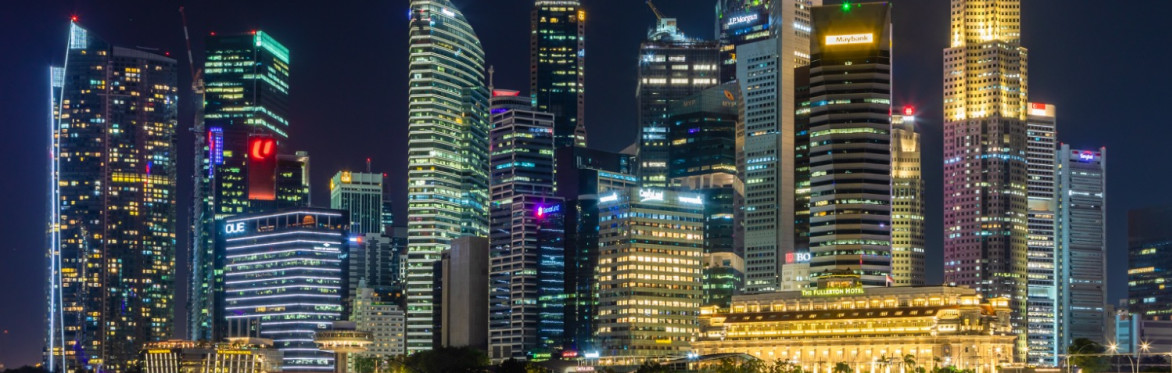Body-focused Interventions in Schema Therapy with Janis Briedis - Level 1  - Singapore