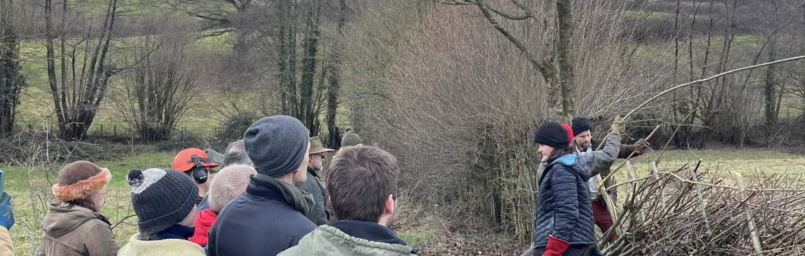 Hedge Laying 26th - 27th October 2026
