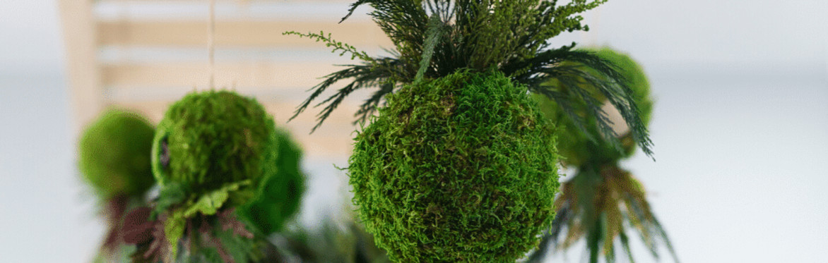 Flower Kokedama Workshop