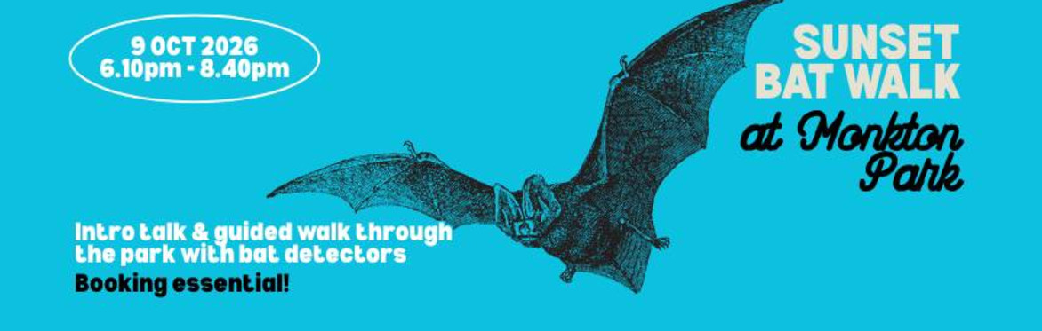 Sunset bat walk at Monkton Park