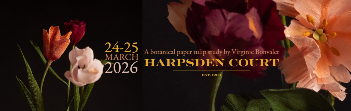 Wide banner image of sculptural crepe paper tulips in coral, pale blush and deep magenta set against a dark background. Close-up petals fill the right side of the frame. Overlaid text reads: “24–25 Ma