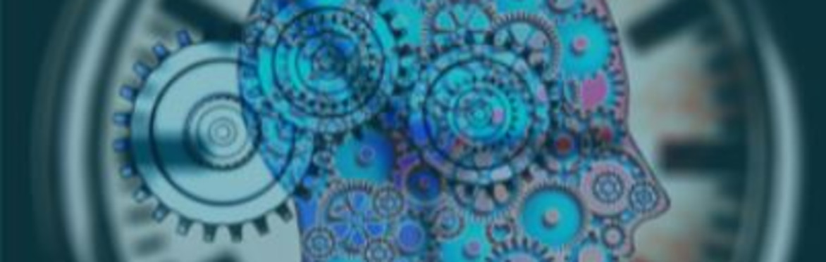 TECHNIQUES & MICROSOFT TOOLS FOR THE PROJECT MANAGER AND THE PMO