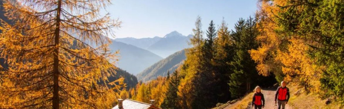 Foliage | Escursioni e trekking con le Guide Alpine Bormio