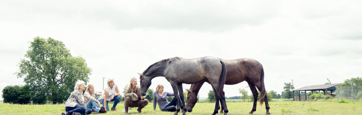 The Return, A Restorative Autumn Retreat for Women