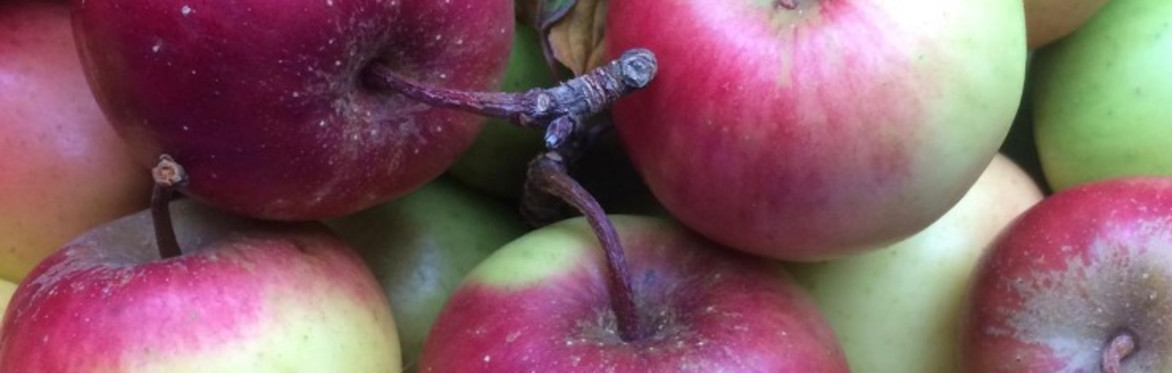 Apple Juice Workshop