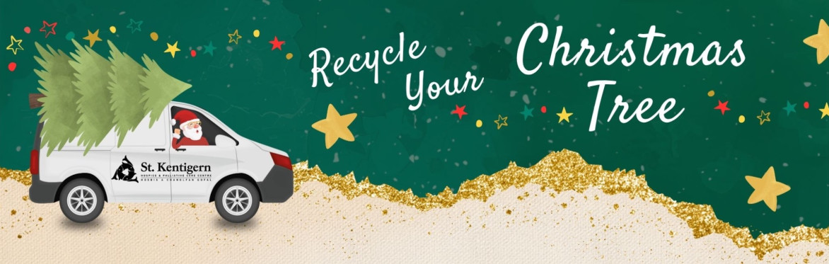 Christmas Tree Collection