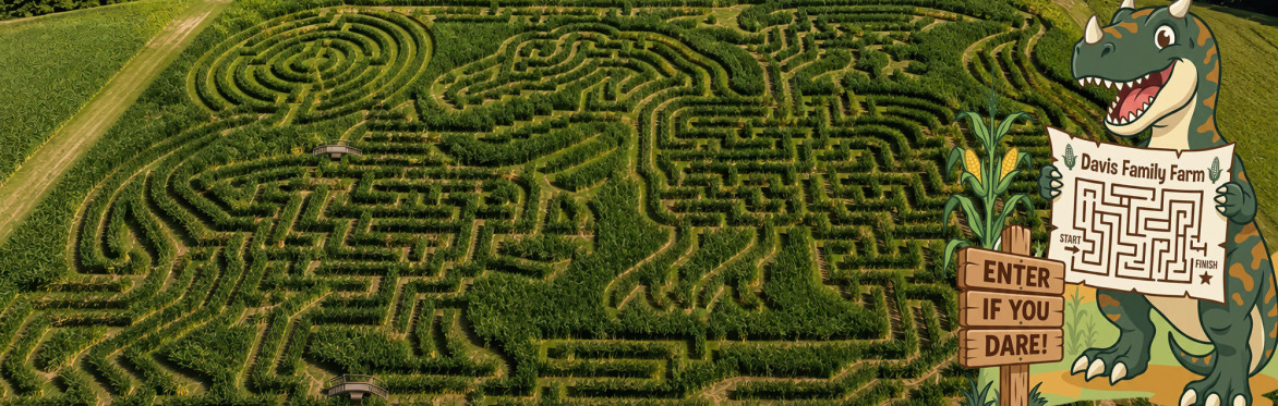 Night Time Corn Maze 2026