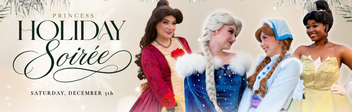 Princess Holiday Soirée