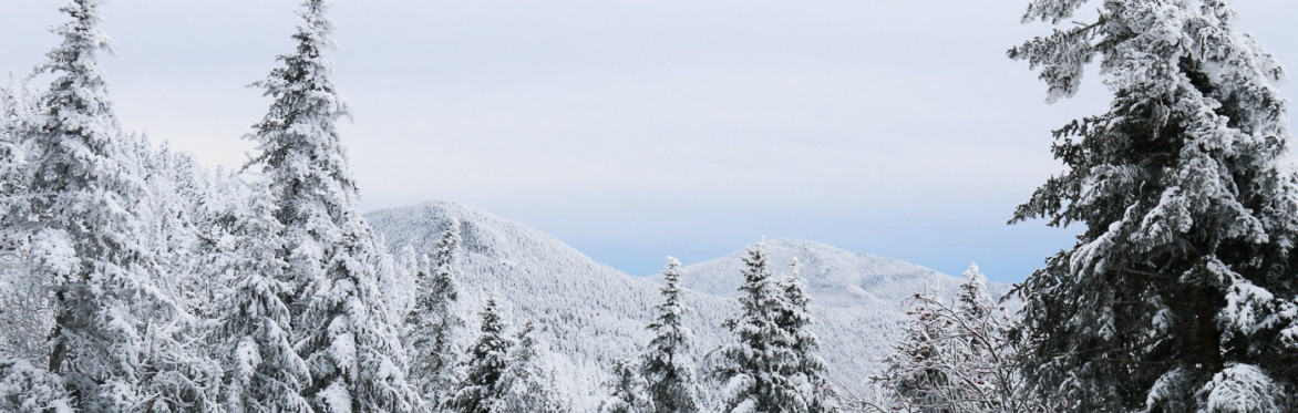 Hiking VT's 500 Highest