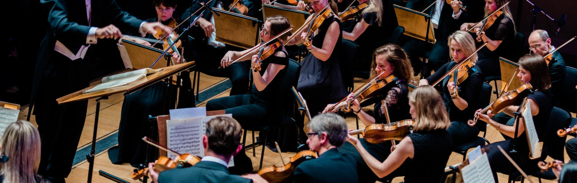 The Pico Players' Autumn Concert - Friday 7th November 2025