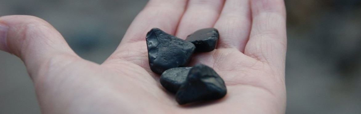 Three pieces of black Whitby jet in an outstretched hand
