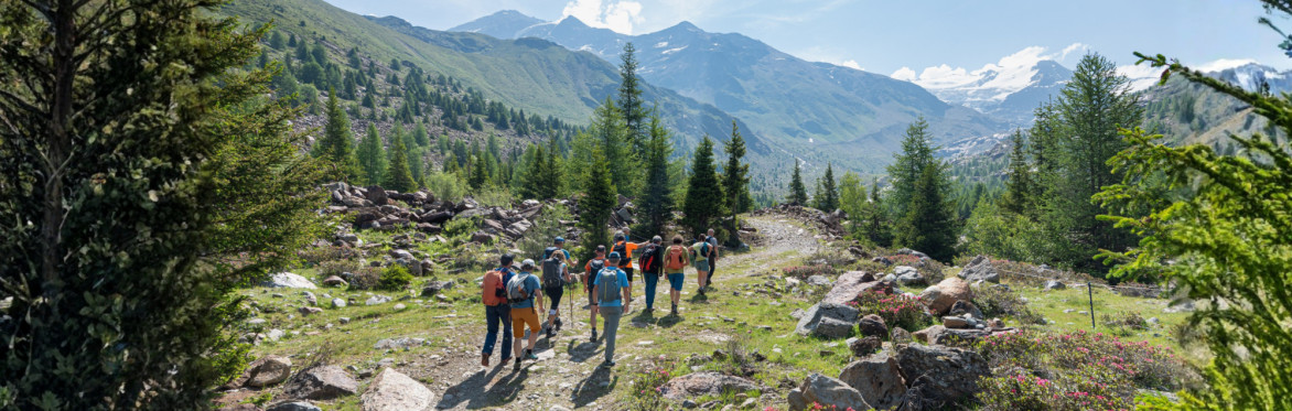 Trekking per tutti a tema (naturalistico, didattico, storico, enogastronomico, dog friendly)