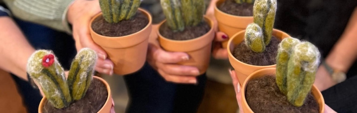 Needle Felting- Cactus