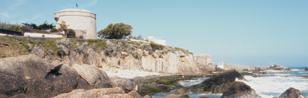 Martello Towers: Their History and Survival
