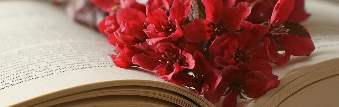 Tra le pagine nascono fiori, draghi, castelli fatati