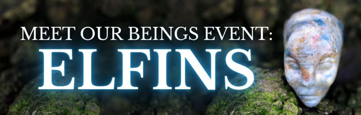 Meet Our Beings: Elfins