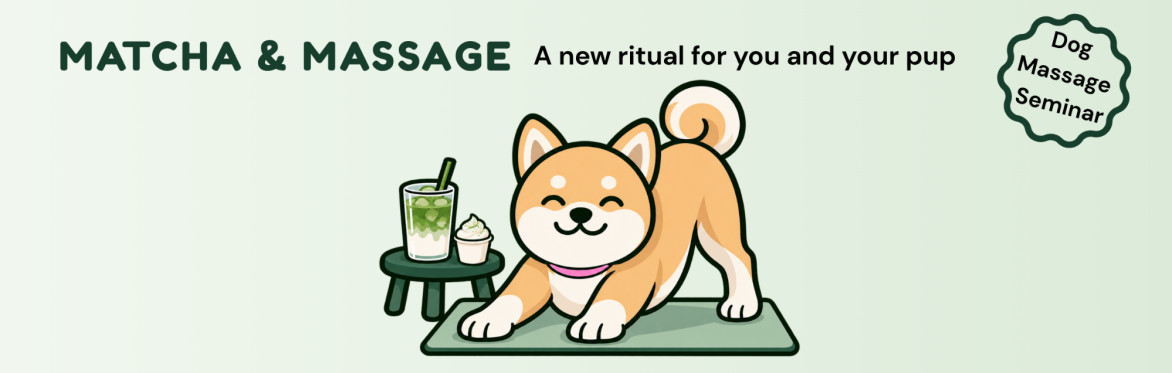 Matcha and Massage - A morning wellness ritual for your pup
