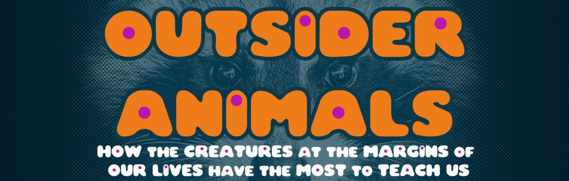 OUTSIDER ANIMALS: How the Creatures at the Margins of Our Lives have the Most to Teach Us