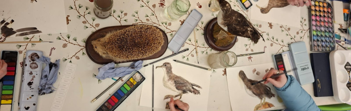 Primary School Nature Art Day at Glenveagh National Park