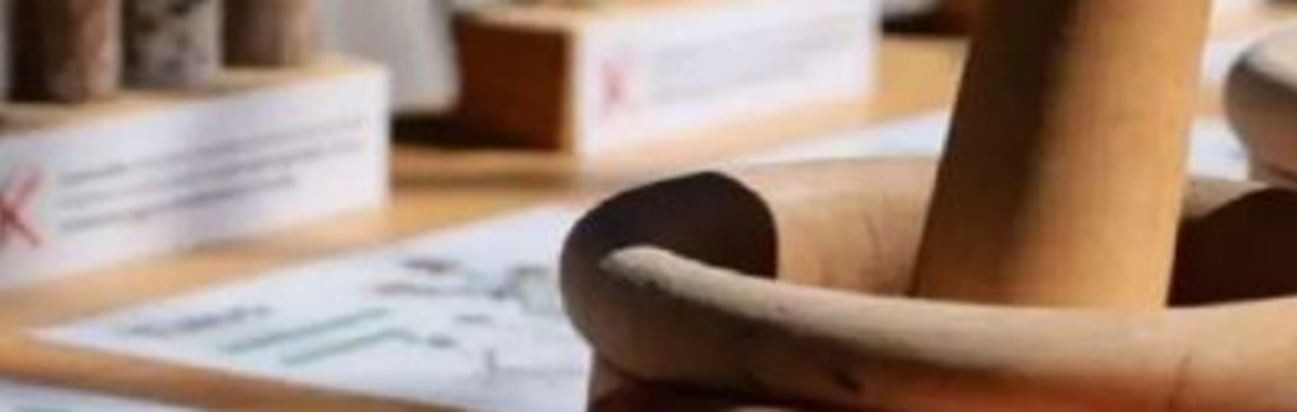 Fuori programma per bambini - Invenzioni botaniche